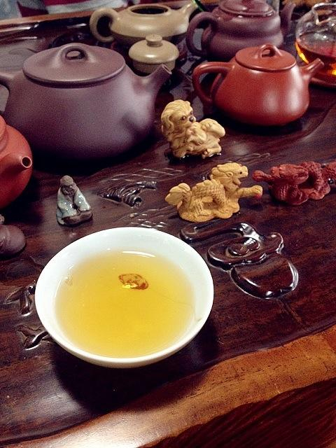 福鼎白茶春茶和秋茶哪个好