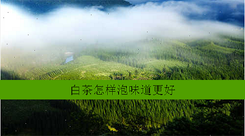 白茶怎样泡味道更好